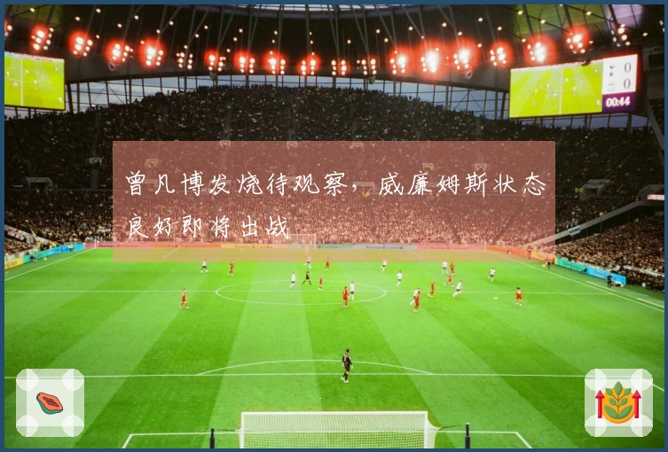 曾凡博发烧待观察，威廉姆斯状态良好即将出战